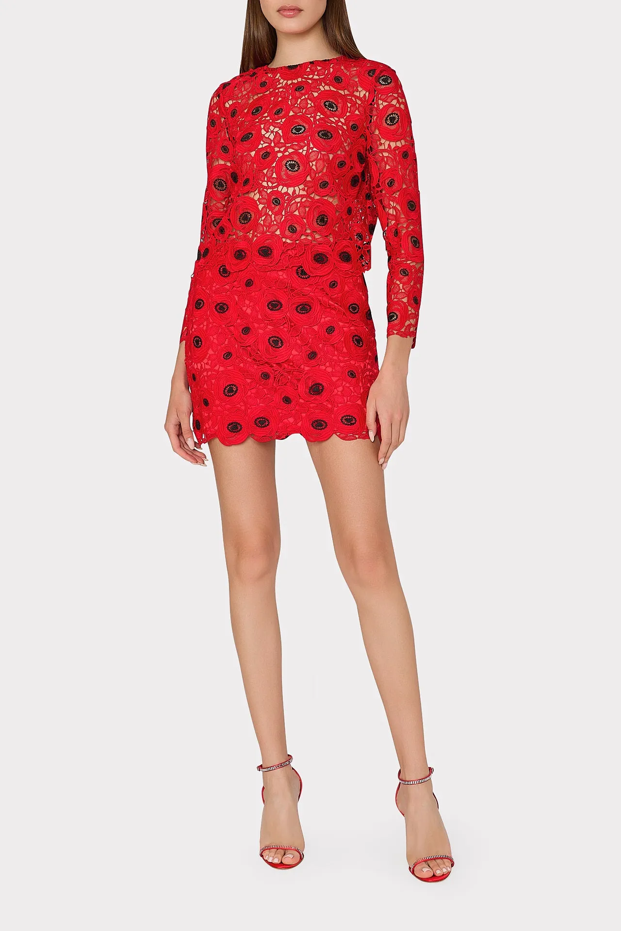 Nori Embroidered Lace Top